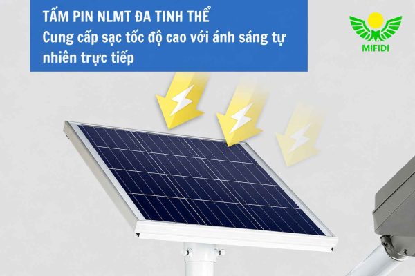 tam-pin-nlmt-da-tinh-the